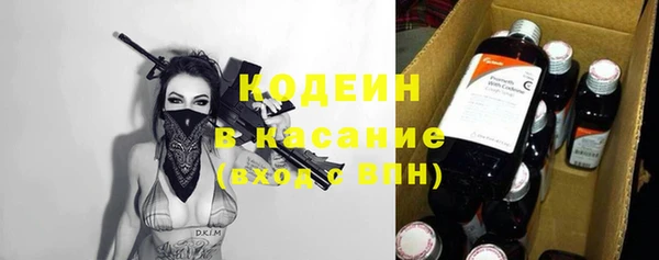 спиды Богородицк