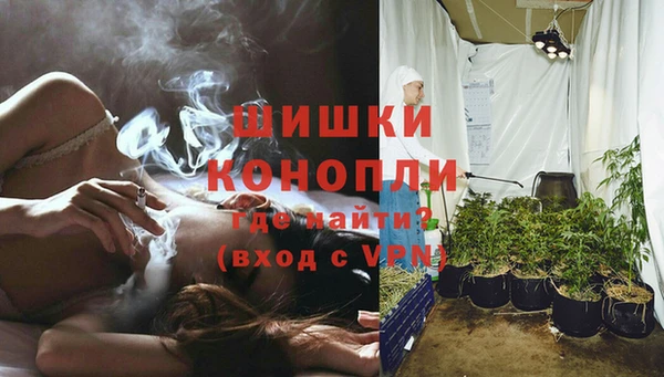 спиды Богородицк