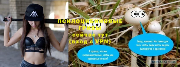 спиды Богородицк