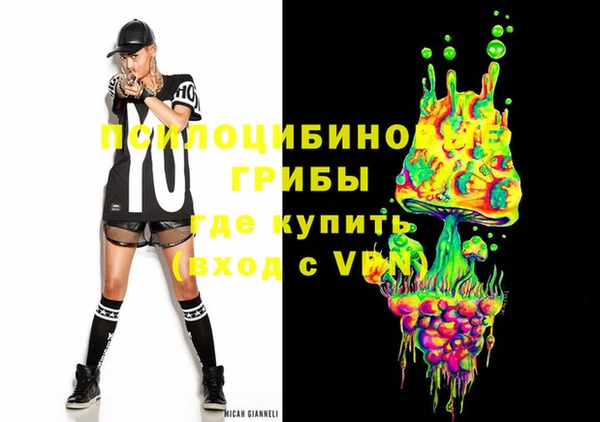 прущая мука Богородск